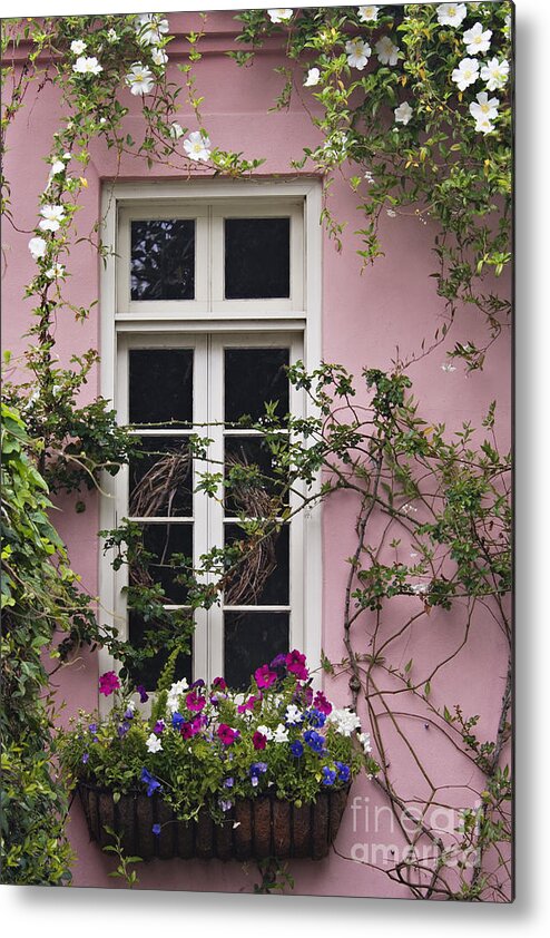 Petunia Metal Print featuring the photograph Back Alley Window Box - D001793 by Daniel Dempster