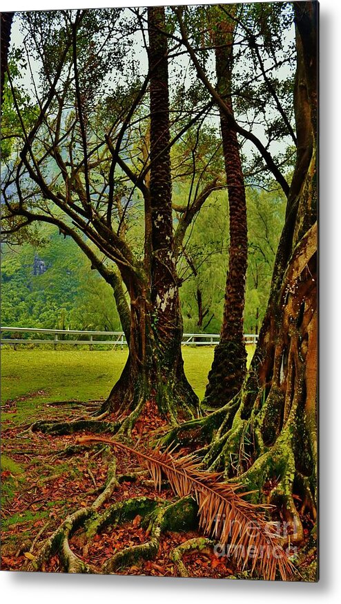 Banyan Tree Metal Print featuring the photograph Banyan Tree and Date Palm by Craig Wood