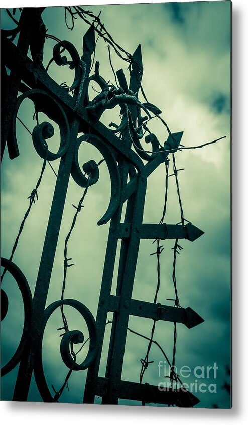 Gate Metal Print featuring the photograph Barbed Wire Gate by Carlos Caetano