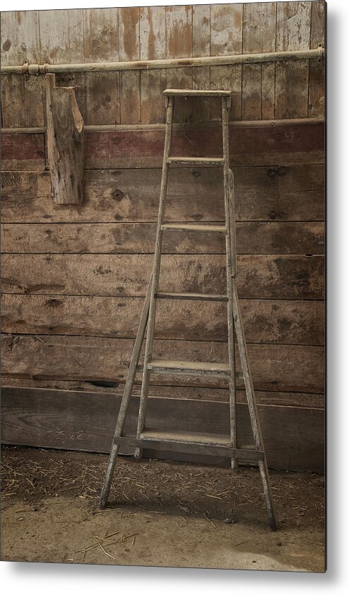 Scott Farm Vermont Metal Print featuring the photograph Barn Ladder by Tom Singleton