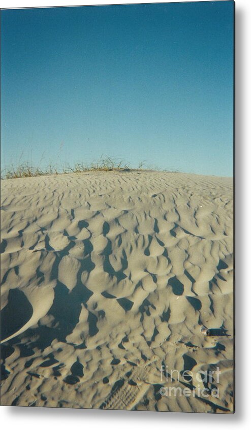 Beach Metal Print featuring the photograph Beach Dune by Cat Rondeau