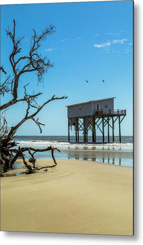 Tree Metal Print featuring the photograph Beach Front by Ray Silva
