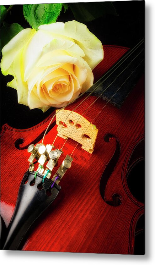 White Metal Print featuring the photograph Beautiful Rose And Violin by Garry Gay