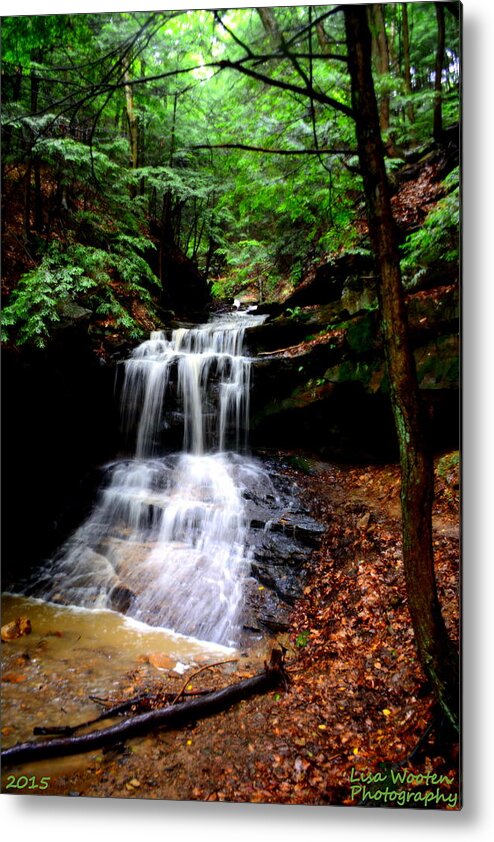 Mcconnells Mills State Park Pa Metal Print featuring the photograph Beauty In The Woods by Lisa Wooten