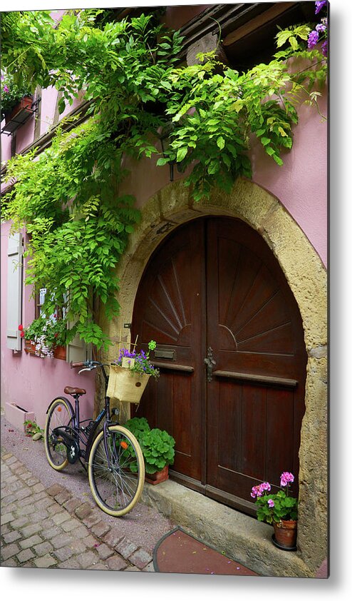 Bicycle Metal Print featuring the photograph Bicycle and Ivy by Rebekah Zivicki