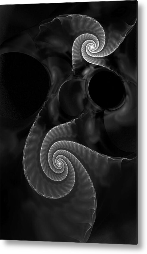 Fractal Metal Print featuring the digital art Black and White Fractal 080810 by David Lane