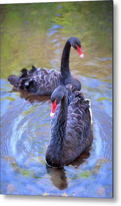 Swan Metal Print featuring the photograph Black Swans by Susan Rissi Tregoning