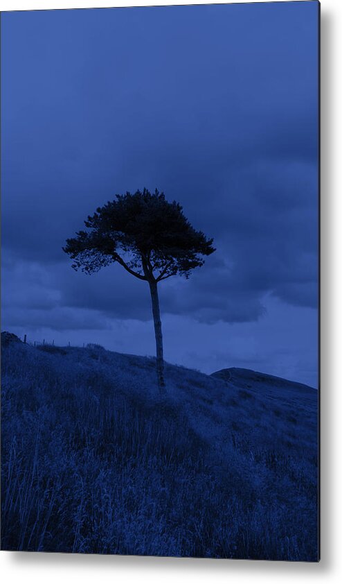 Blue Dawn Metal Print featuring the photograph Blue dawn by Phil Tomlinson