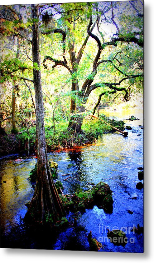 Florida Metal Print featuring the photograph Blues in Florida Swamp by Carol Groenen