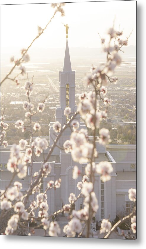 Bountiful Metal Print featuring the photograph Bountiful Spring by Dustin LeFevre