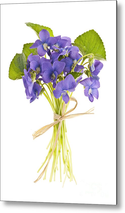 Bouquet Metal Print featuring the photograph Bouquet of violets 2 by Elena Elisseeva