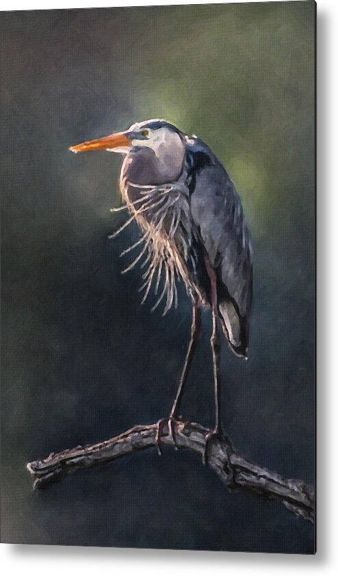 2009 Metal Print featuring the photograph Breezy Blue Heron by Lauren Brice
