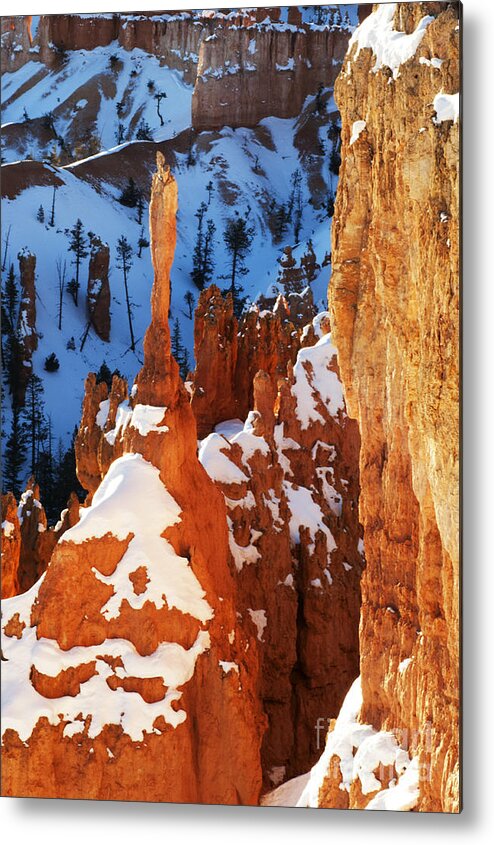 Bryce Metal Print featuring the photograph Bryce Canyon Winter 4 by Bob Christopher