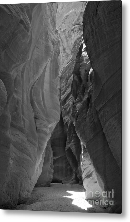 Slot Canyon Metal Print featuring the photograph Buckskin In Black And White by Adam Jewell