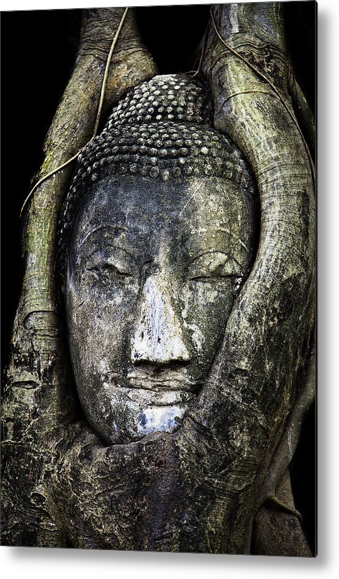 Buddha Head Metal Print featuring the photograph Buddha Head in Banyan Tree by Adrian Evans