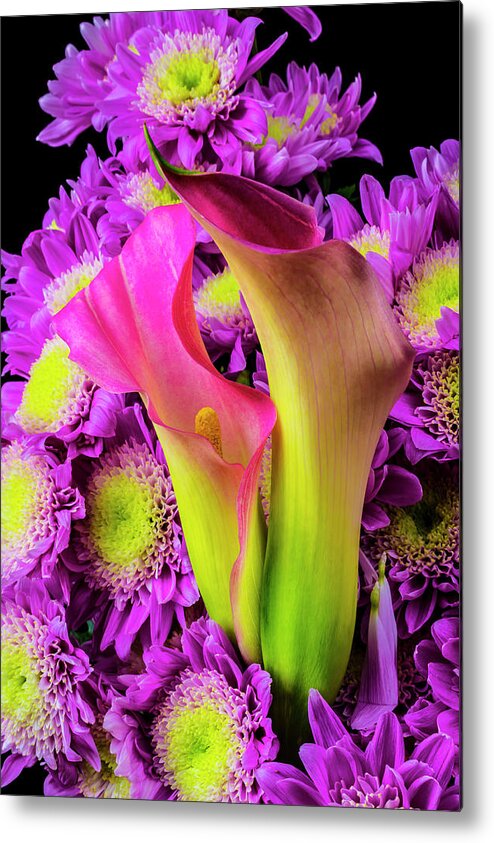 Purple Metal Print featuring the photograph Calla Lillies And Poms by Garry Gay