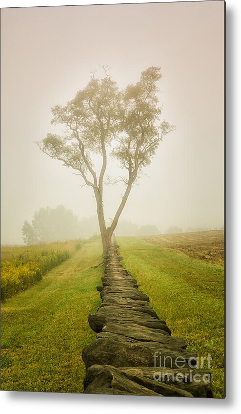 Fog Metal Print featuring the photograph Calming Morning in the Foggy Meadow Rural Landscape Photograph by PIPA Fine Art - Simply Solid