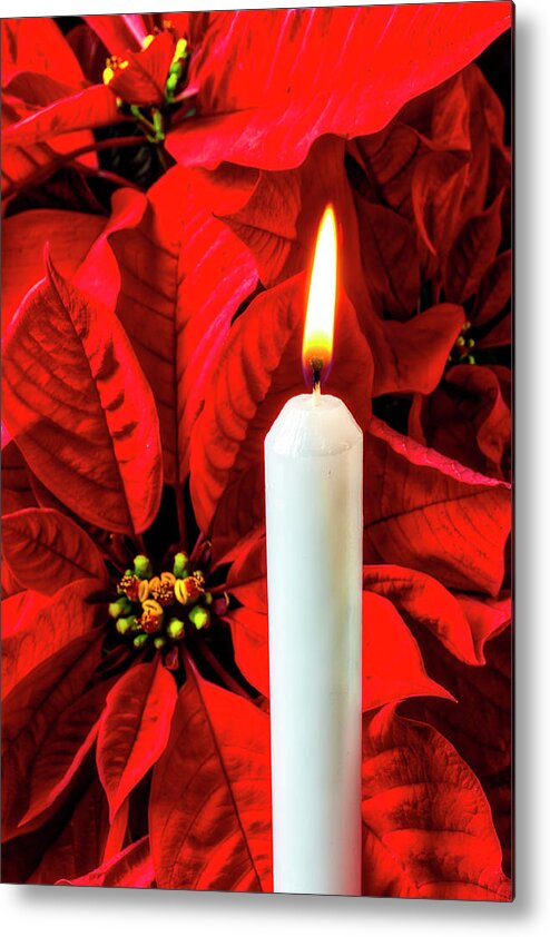 Red Poinsettia Metal Print featuring the photograph Candle And Poinsettia by Garry Gay