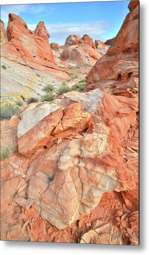 Valley Of Fire State Park Metal Print featuring the photograph Canyon Color in Valley of Fire by Ray Mathis