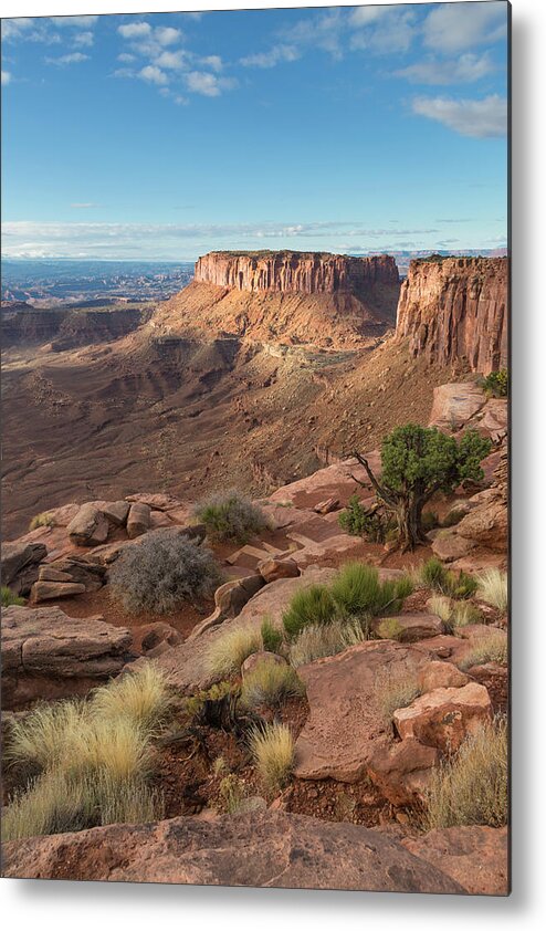 Canyonlands Metal Print featuring the photograph Canyonlands View by Denise Bush