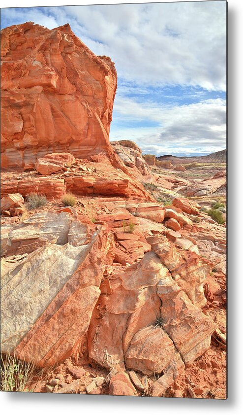 Valley Of Fire State Park Metal Print featuring the photograph Castle High Above Wash 5 in Valley of Fire by Ray Mathis