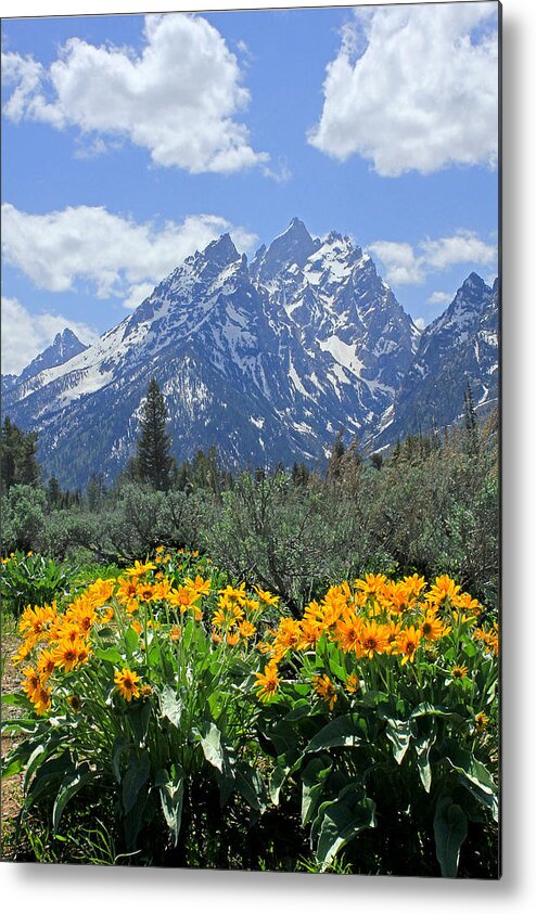 Mt. Moran Metal Print featuring the photograph DM9328-Cathedral Group Tetons by Ed Cooper Photography