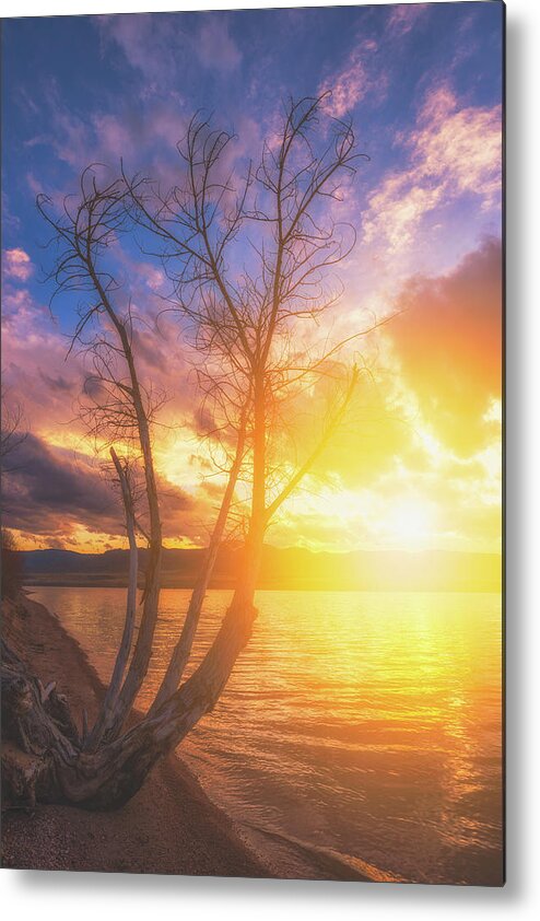 Sunset Metal Print featuring the photograph Chatfield Lake Sunset by Darren White