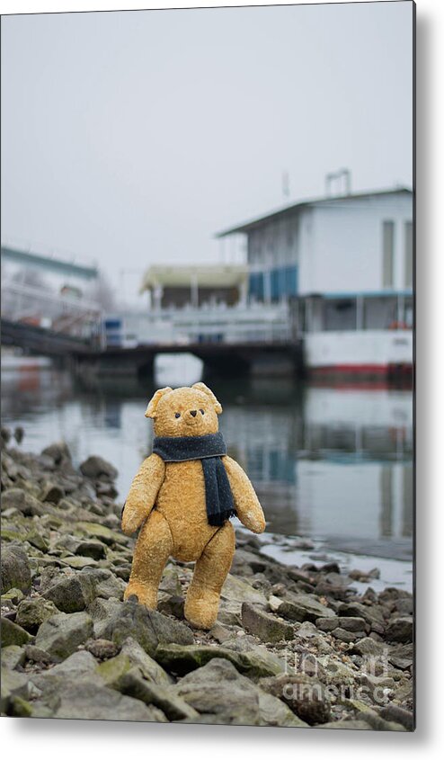 Animal Metal Print featuring the photograph Cheerful teddy bear in knitted scarf stand by the riverside beside the port by Andrea Varga