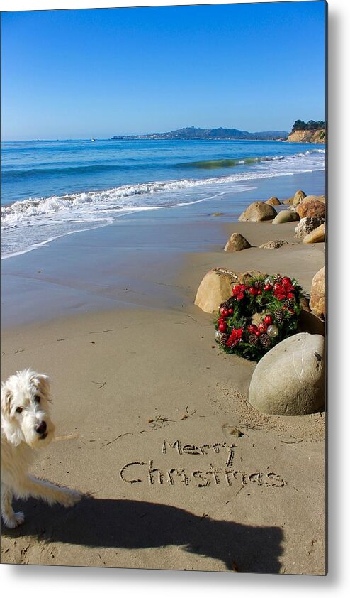 Dog Metal Print featuring the photograph Christmas Dog at Beach by Sharon Sayre