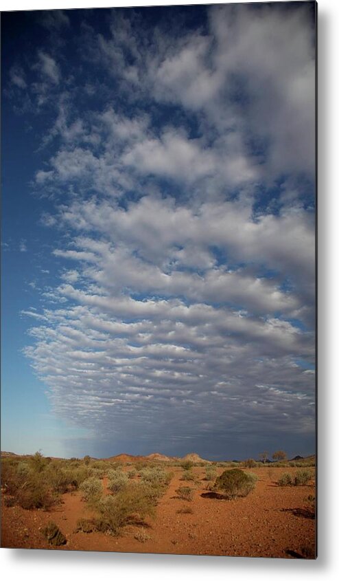 Scrub Metal Print featuring the photograph Clear Sky To Clouds by Lee Stickels