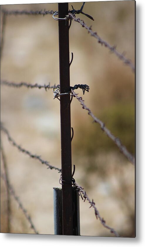 Golden Metal Print featuring the photograph Closeup of Barbed Wire Fence - Portrait 2 by Colleen Cornelius