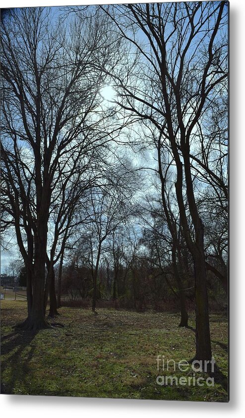 Barrieloustark Metal Print featuring the photograph Clouds Through the Trees by Barrie Stark