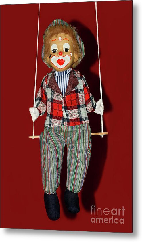 Clown On Swing Metal Print featuring the photograph Clown on Swing by Kaye Menner by Kaye Menner