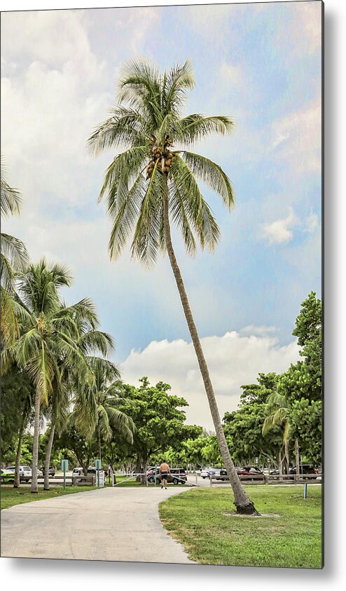 Coconut Palm Tree Metal Print featuring the photograph Coconut Palm Tree by Phyllis Taylor