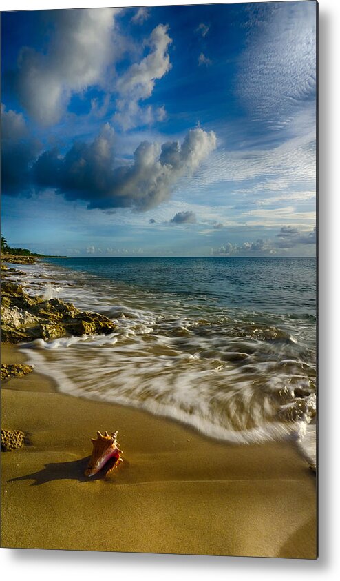 Pristine Metal Print featuring the photograph Conch Shell by Amanda Jones