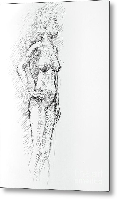 Adam Long Metal Print featuring the drawing Controposto a pen and ink drawing of female nude by Adam Long