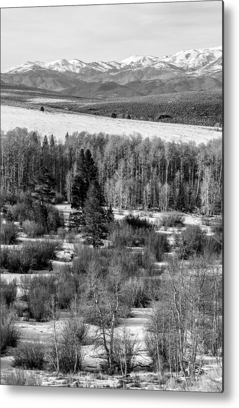 Hwy 395 Metal Print featuring the photograph Conway Summit in Winter by Jan Davies