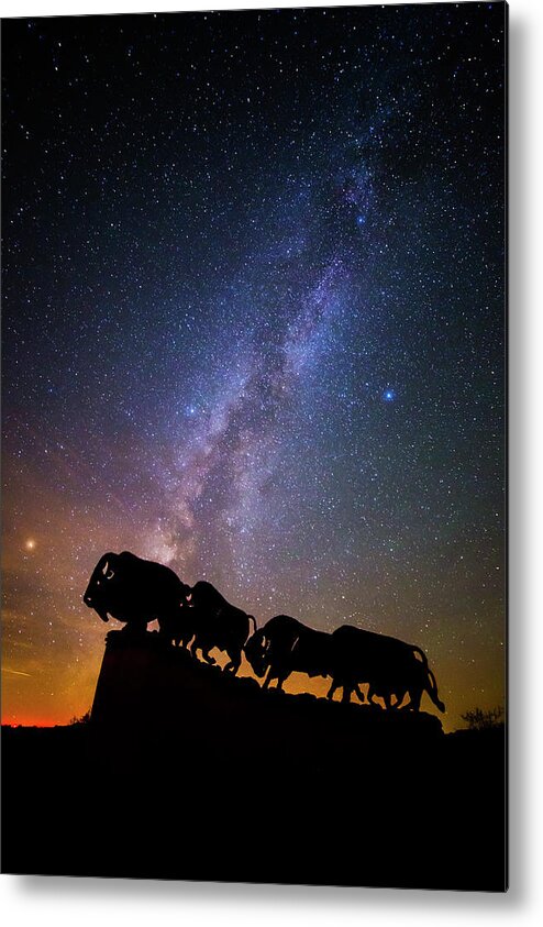 Caprock Canyons State Park Metal Print featuring the photograph Cosmic Caprock Bison by Stephen Stookey