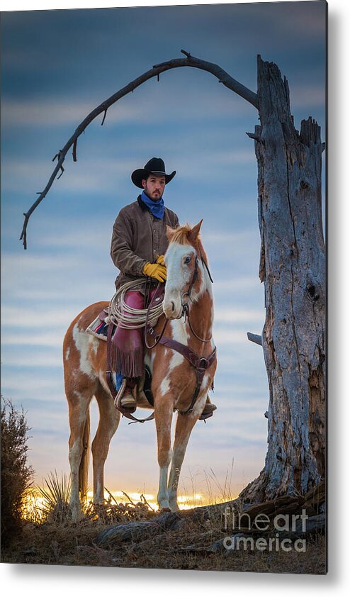 America Metal Print featuring the photograph Cowboy Under Tree by Inge Johnsson