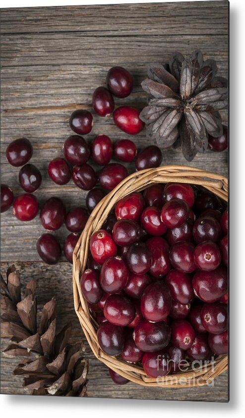 Cranberry Metal Print featuring the photograph Cranberries in basket 4 by Elena Elisseeva