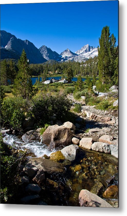Heart Lake Foliage Metal Print featuring the photograph Creek at Heart Lake by Chris Brannen