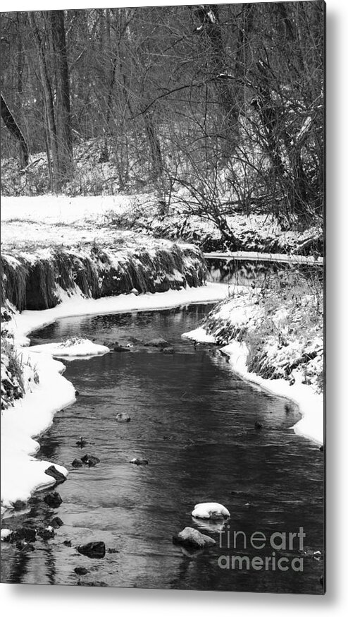 Creek Metal Print featuring the photograph Creek In The Woods In Winter by Tamara Becker