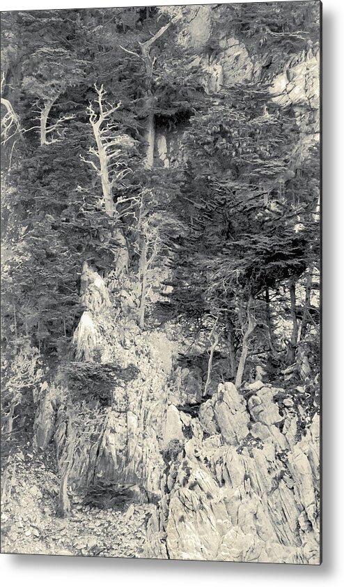 Cypress Metal Print featuring the digital art Cypress Strewn Cliff, Carmel Bay, Point Lobos, State Park Carmel, California by Kathy Anselmo