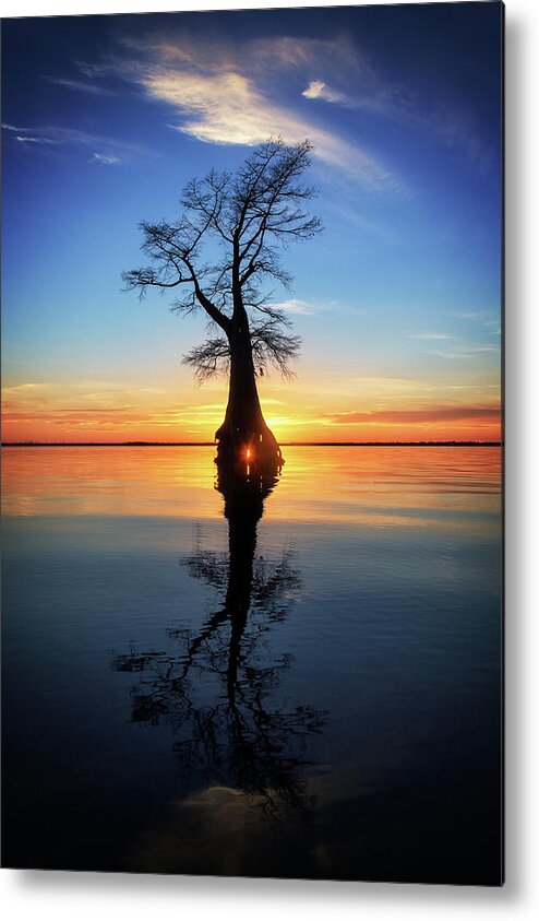 Tree Metal Print featuring the photograph Cypress Sunset Reflection by Alan Raasch