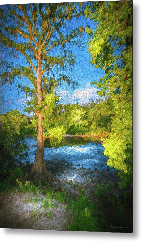 Cypress Metal Print featuring the photograph Cypress Tree By The River by Marvin Spates