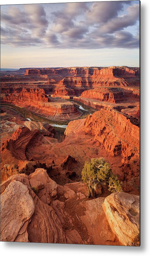 Dead Horse Point Metal Print featuring the photograph Dead Horse Point Vertical by Wasatch Light
