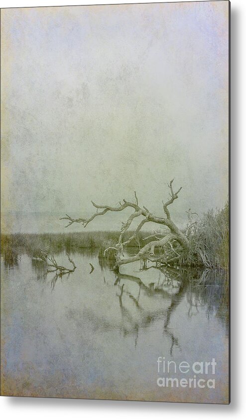 Dead In The Water Metal Print featuring the digital art Dead in the Water by Randy Steele