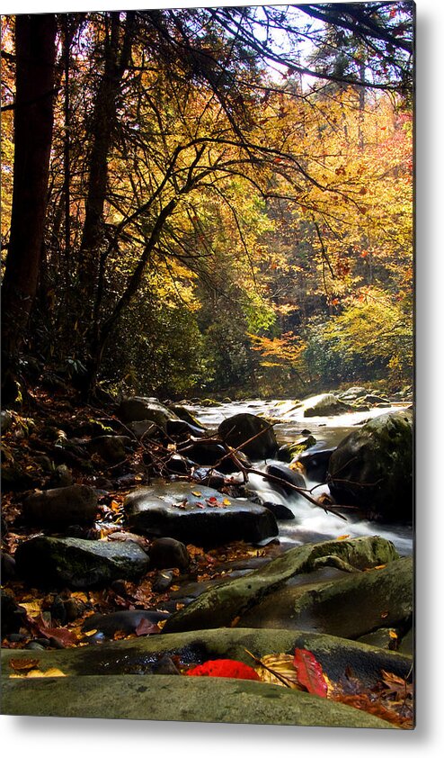 Fall Metal Print featuring the photograph Deep Creek Mountain Stream by Bob Decker