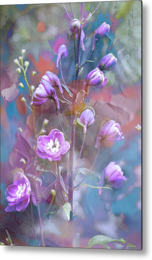 Flowers Metal Print featuring the photograph Delphinium Dream by John Rivera