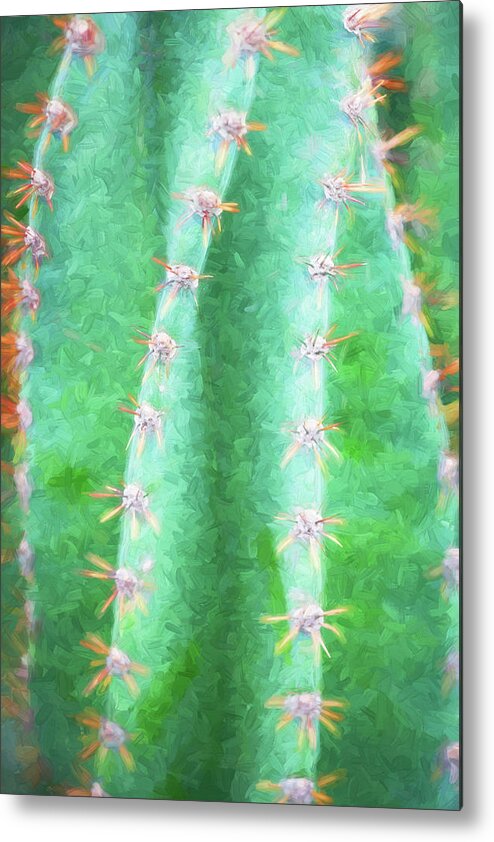  Metal Print featuring the photograph Desert Cactus and Succulents 026 by Rich Franco